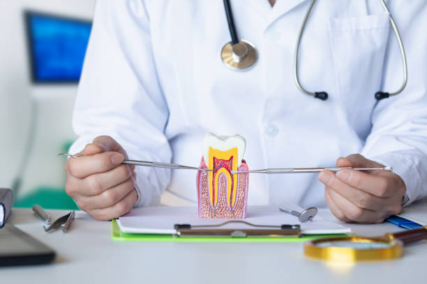 Best Emergency Gum Treatment in Laymantown, VA